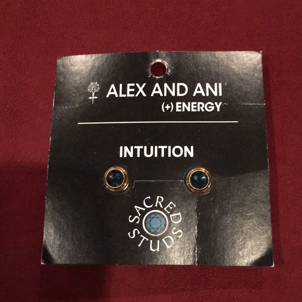 Alex and Ani earrings